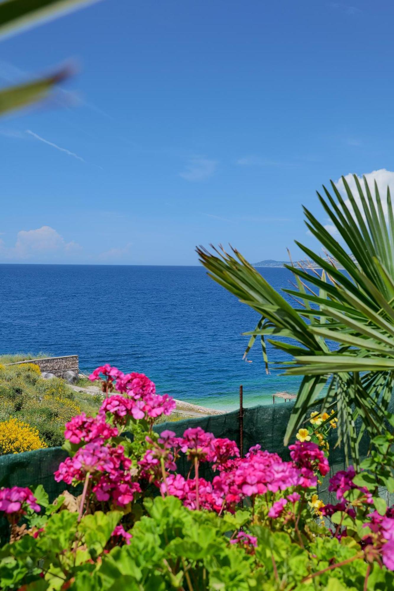 Armantis Apartamento Sarandë
