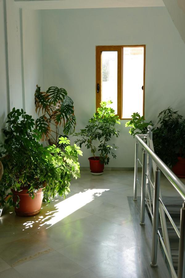 Apartment Armantis Sarande